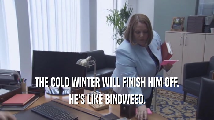 THE COLD WINTER WILL FINISH HIM OFF. HE'S LIKE BINDWEED. 