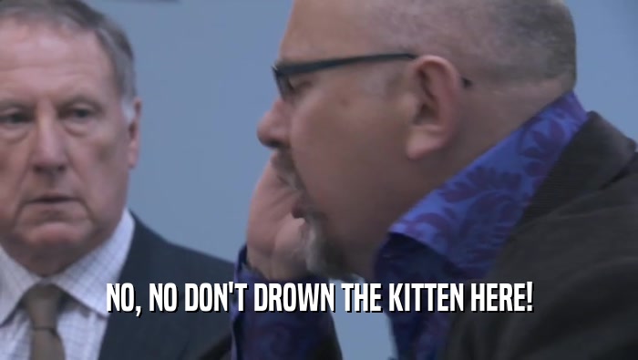 NO, NO DON'T DROWN THE KITTEN HERE!  