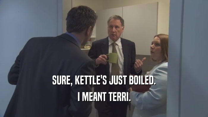 SURE, KETTLE'S JUST BOILED. I MEANT TERRI. 