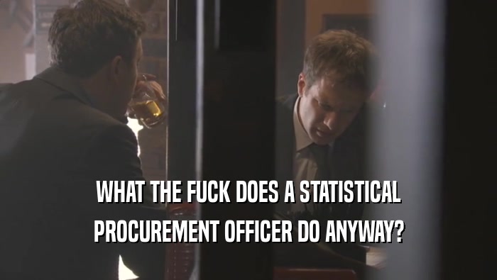 WHAT THE FUCK DOES A STATISTICAL PROCUREMENT OFFICER DO ANYWAY? 