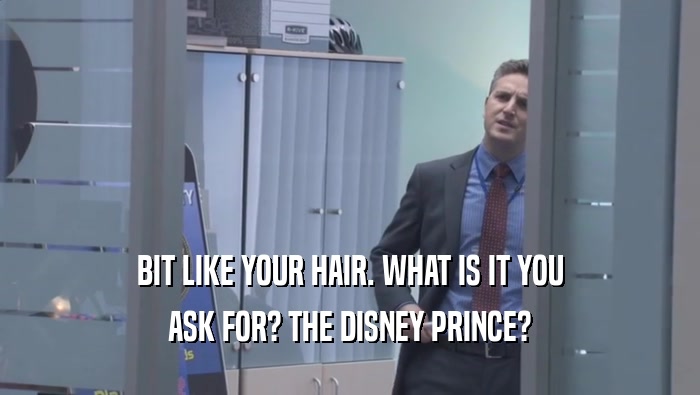 BIT LIKE YOUR HAIR. WHAT IS IT YOU
 ASK FOR? THE DISNEY PRINCE?
 