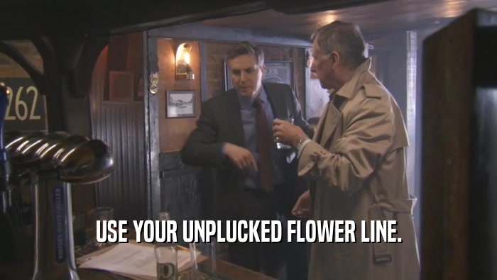 USE YOUR UNPLUCKED FLOWER LINE.  