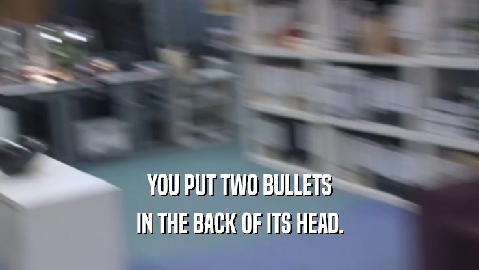 YOU PUT TWO BULLETS IN THE BACK OF ITS HEAD. 
