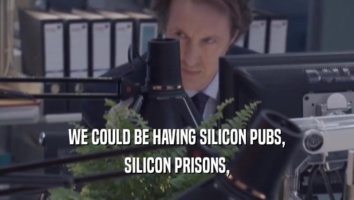 WE COULD BE HAVING SILICON PUBS, SILICON PRISONS, 