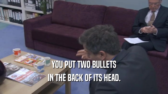 YOU PUT TWO BULLETS IN THE BACK OF ITS HEAD. 