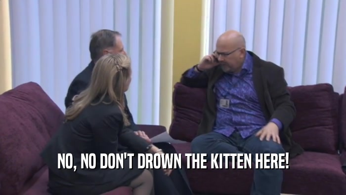 NO, NO DON'T DROWN THE KITTEN HERE!  