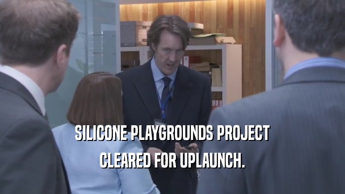 SILICONE PLAYGROUNDS PROJECT
 CLEARED FOR UPLAUNCH.
 