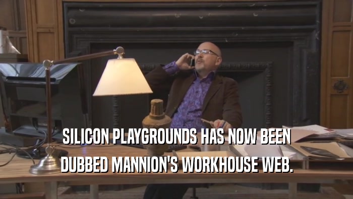 SILICON PLAYGROUNDS HAS NOW BEEN DUBBED MANNION'S WORKHOUSE WEB. 