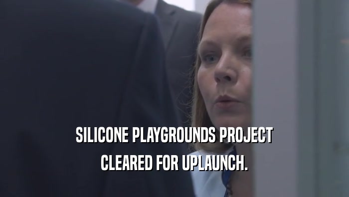 SILICONE PLAYGROUNDS PROJECT CLEARED FOR UPLAUNCH. 