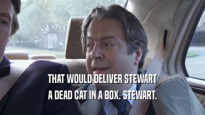 THAT WOULD DELIVER STEWART A DEAD CAT IN A BOX. STEWART. 