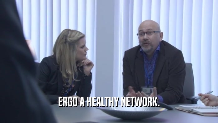 ERGO A HEALTHY NETWORK.  