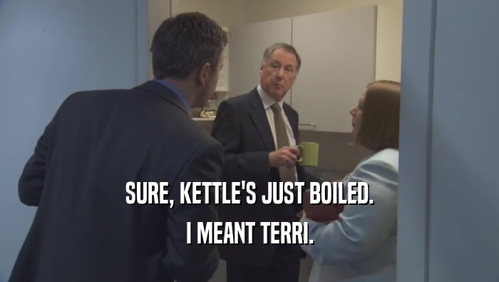 SURE, KETTLE'S JUST BOILED. I MEANT TERRI. 