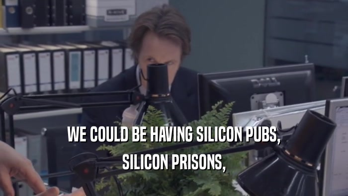 WE COULD BE HAVING SILICON PUBS, SILICON PRISONS, 