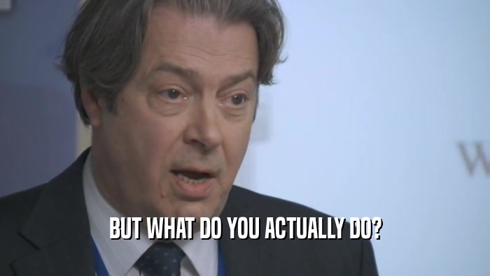 BUT WHAT DO YOU ACTUALLY DO?  