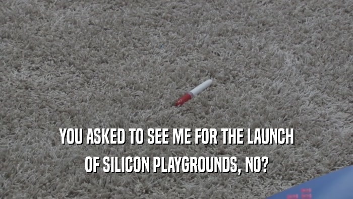 YOU ASKED TO SEE ME FOR THE LAUNCH OF SILICON PLAYGROUNDS, NO? 