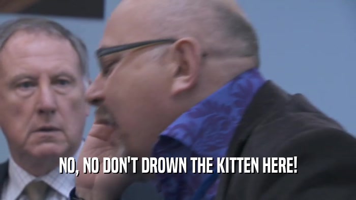 NO, NO DON'T DROWN THE KITTEN HERE!  