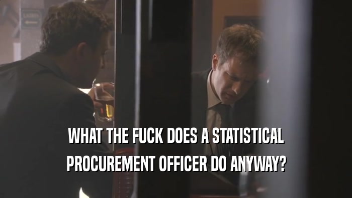 WHAT THE FUCK DOES A STATISTICAL PROCUREMENT OFFICER DO ANYWAY? 