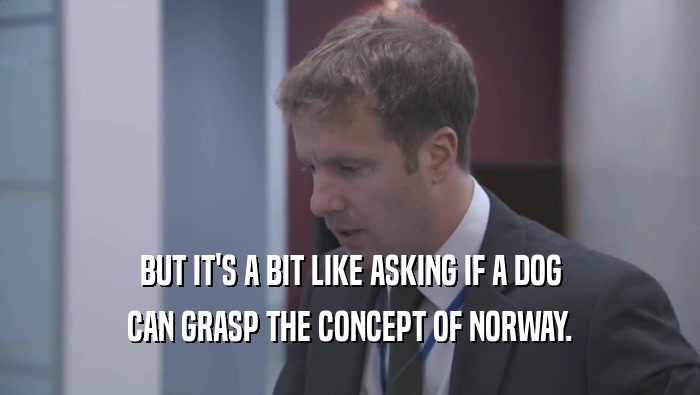 BUT IT'S A BIT LIKE ASKING IF A DOG
 CAN GRASP THE CONCEPT OF NORWAY.
 