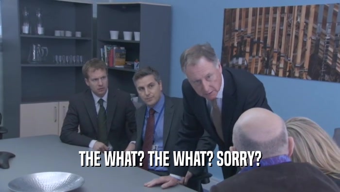 THE WHAT? THE WHAT? SORRY?  