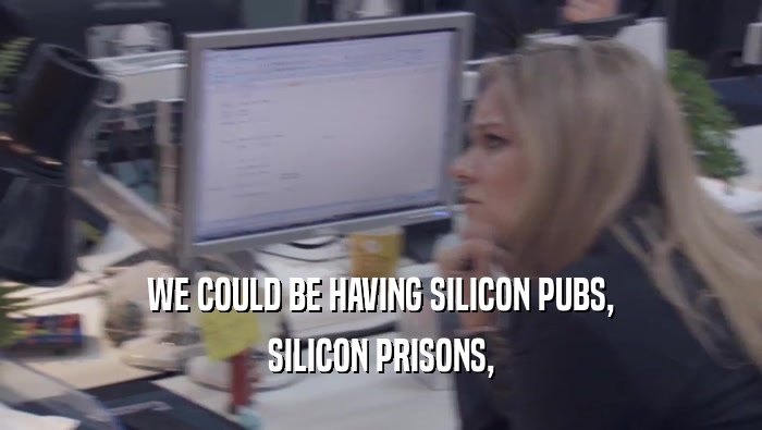 WE COULD BE HAVING SILICON PUBS, SILICON PRISONS, 