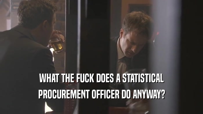 WHAT THE FUCK DOES A STATISTICAL PROCUREMENT OFFICER DO ANYWAY? 