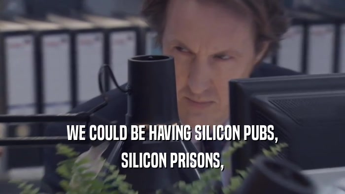 WE COULD BE HAVING SILICON PUBS, SILICON PRISONS, 