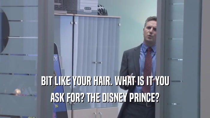BIT LIKE YOUR HAIR. WHAT IS IT YOU
 ASK FOR? THE DISNEY PRINCE?
 