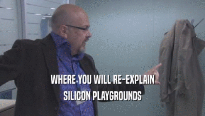 WHERE YOU WILL RE-EXPLAIN SILICON PLAYGROUNDS 