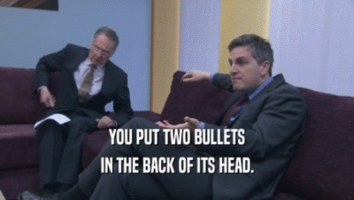 YOU PUT TWO BULLETS IN THE BACK OF ITS HEAD. 