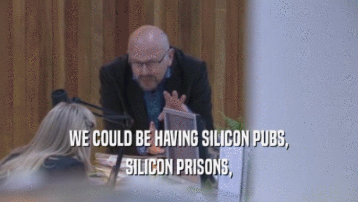 WE COULD BE HAVING SILICON PUBS, SILICON PRISONS, 