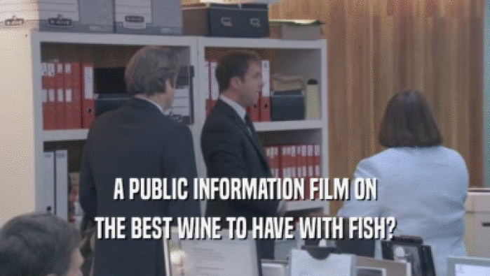 A PUBLIC INFORMATION FILM ON
 THE BEST WINE TO HAVE WITH FISH?
 