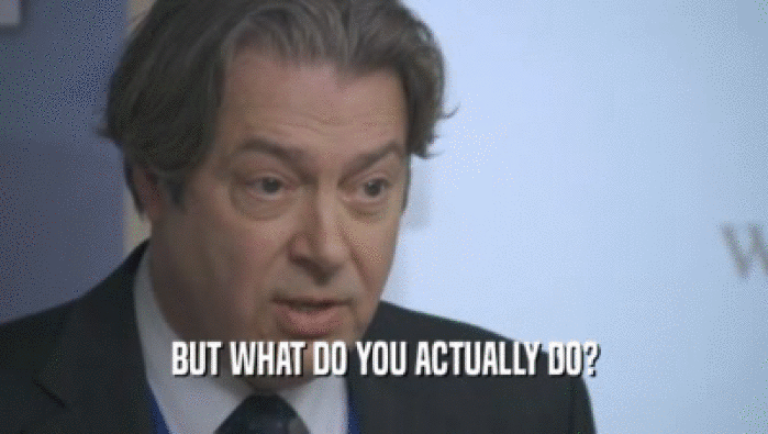 BUT WHAT DO YOU ACTUALLY DO?  