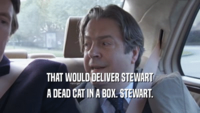 THAT WOULD DELIVER STEWART A DEAD CAT IN A BOX. STEWART. 