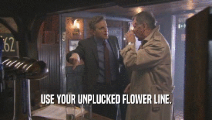 USE YOUR UNPLUCKED FLOWER LINE.  