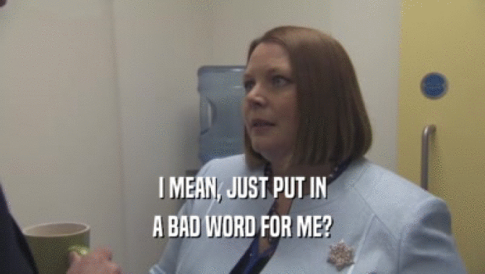 I MEAN, JUST PUT IN A BAD WORD FOR ME? 