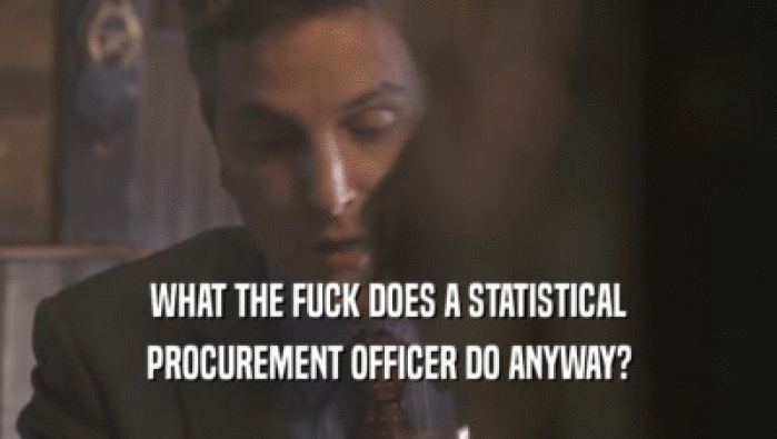 WHAT THE FUCK DOES A STATISTICAL
 PROCUREMENT OFFICER DO ANYWAY?
 