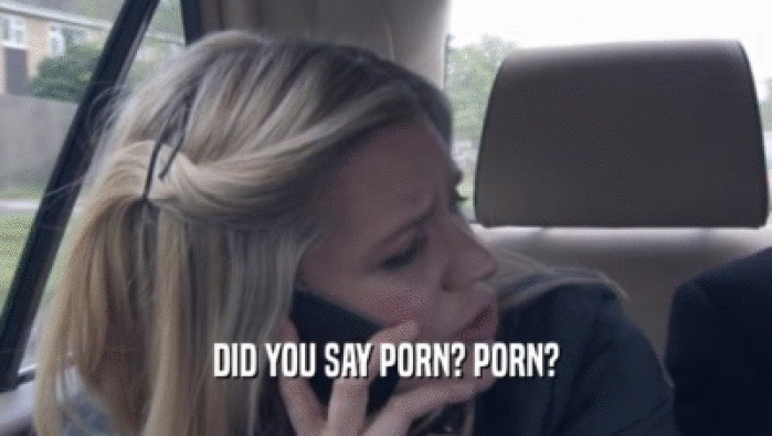 DID YOU SAY PORN? PORN?  