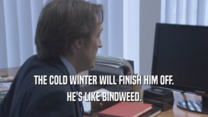 THE COLD WINTER WILL FINISH HIM OFF. HE'S LIKE BINDWEED. 