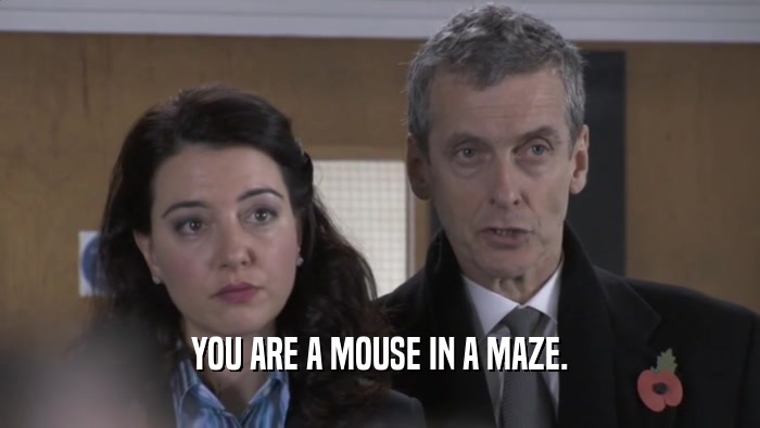 YOU ARE A MOUSE IN A MAZE.
  