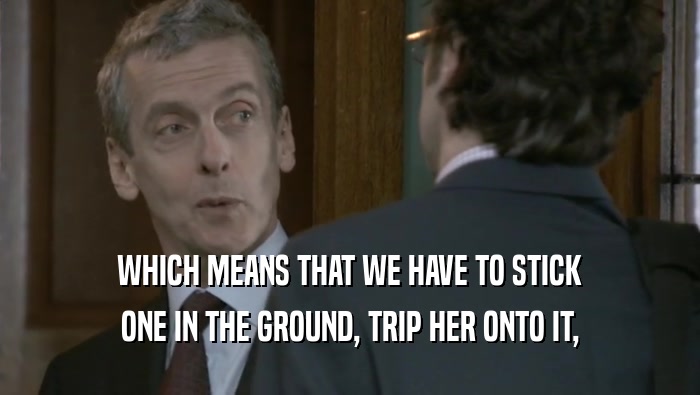 WHICH MEANS THAT WE HAVE TO STICK ONE IN THE GROUND, TRIP HER ONTO IT, 