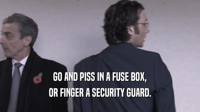 GO AND PISS IN A FUSE BOX, OR FINGER A SECURITY GUARD. 