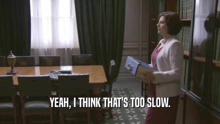 YEAH, I THINK THAT'S TOO SLOW.  
