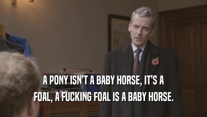 A PONY ISN'T A BABY HORSE, IT'S A FOAL, A FUCKING FOAL IS A BABY HORSE. 
