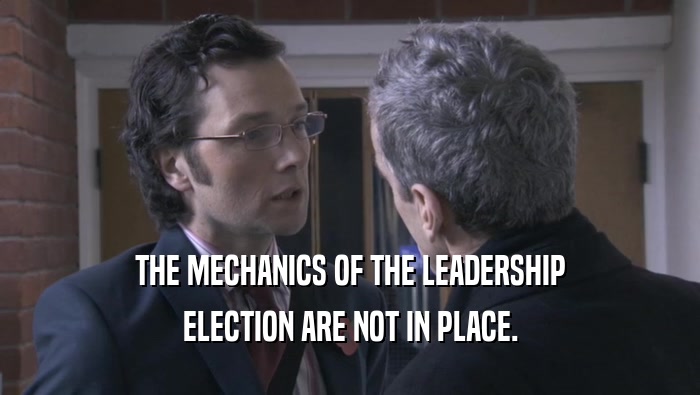 THE MECHANICS OF THE LEADERSHIP ELECTION ARE NOT IN PLACE. 
