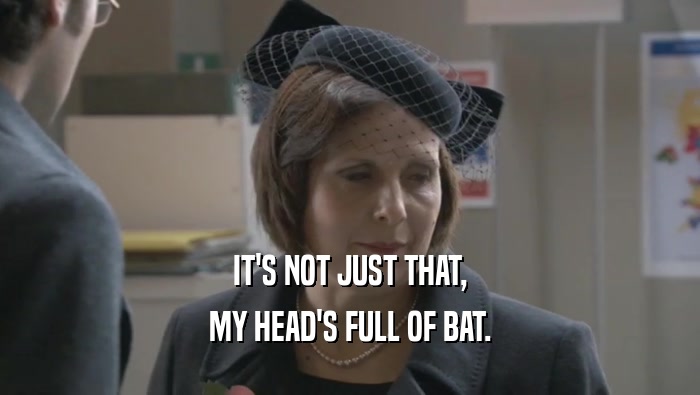 IT'S NOT JUST THAT, MY HEAD'S FULL OF BAT. 
