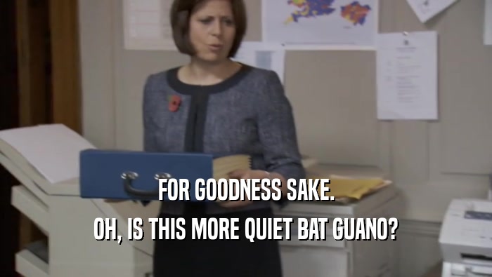 FOR GOODNESS SAKE.
 OH, IS THIS MORE QUIET BAT GUANO?
 