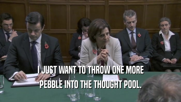 I JUST WANT TO THROW ONE MORE PEBBLE INTO THE THOUGHT POOL. 