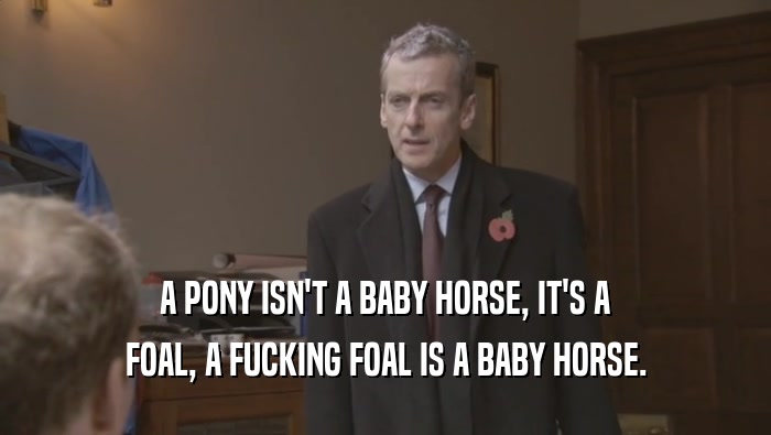 A PONY ISN'T A BABY HORSE, IT'S A FOAL, A FUCKING FOAL IS A BABY HORSE. 