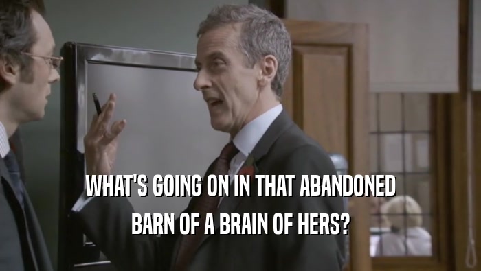 WHAT'S GOING ON IN THAT ABANDONED BARN OF A BRAIN OF HERS? 