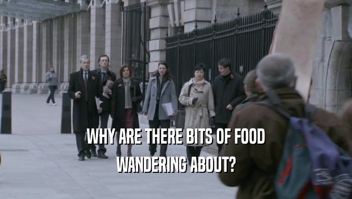 WHY ARE THERE BITS OF FOOD
 WANDERING ABOUT?
 